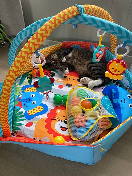 Product image 7 of 9