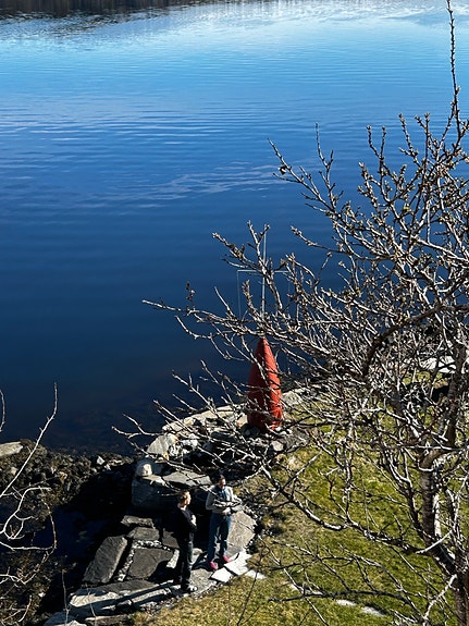 Product image 9 of 10