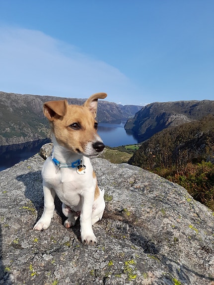 Product image 7 of 10