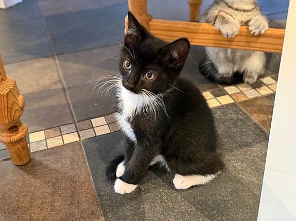 Product image 3 of 5