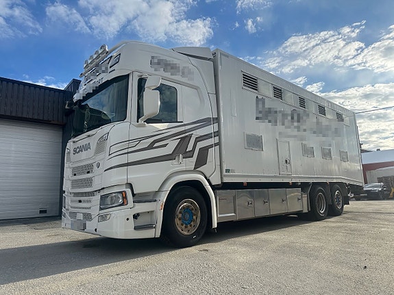 Scania R500 6x2 dyrebil – 12 storfe og 120 småfe. SE VIDEO.