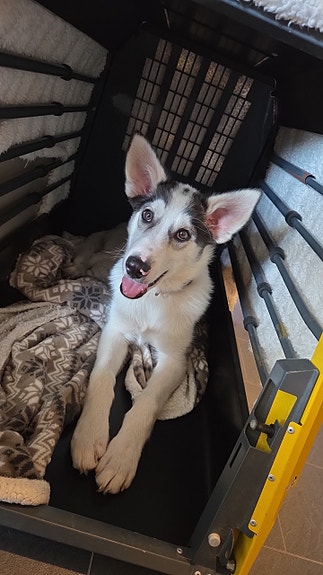 Product image 3 of 9