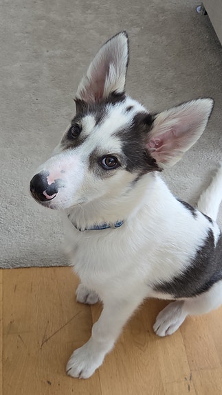 Product image 5 of 9