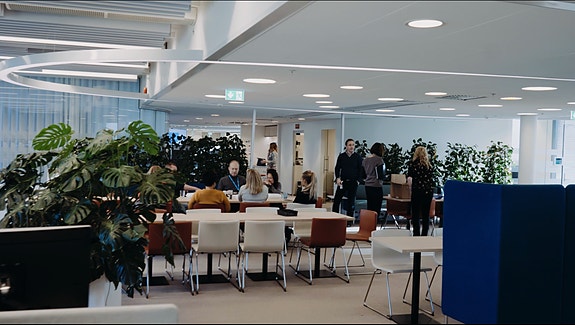 Bilde 1 av 3 i jobbannonse-galleriet