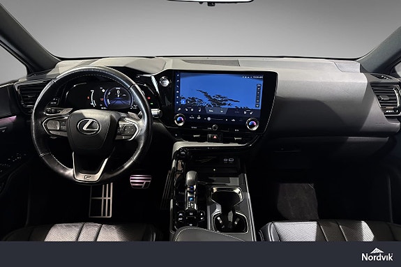 Lexus NX450h 18 of 24