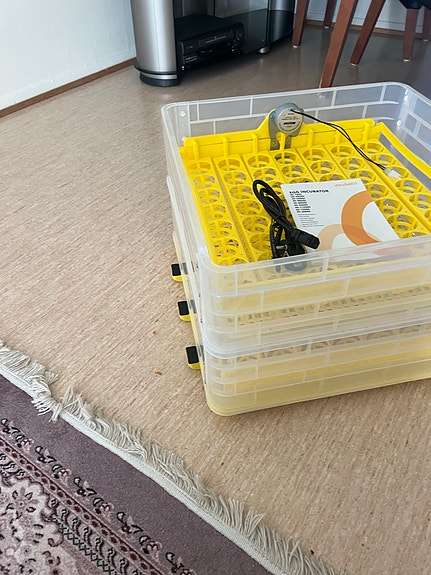 Product image 3 of 10