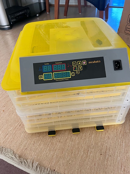 Product image 5 of 10