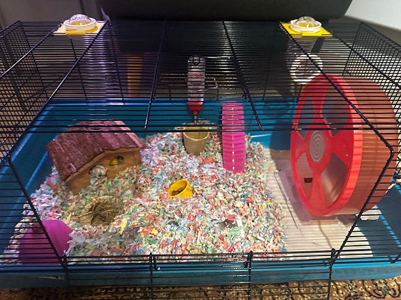 Product image 3 of 7