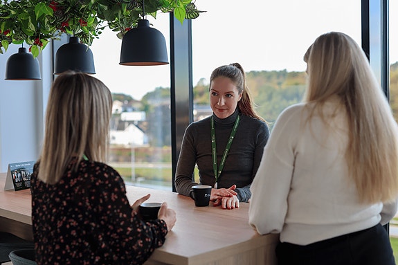 Bilde 1 av 1 i jobbannonse-galleriet