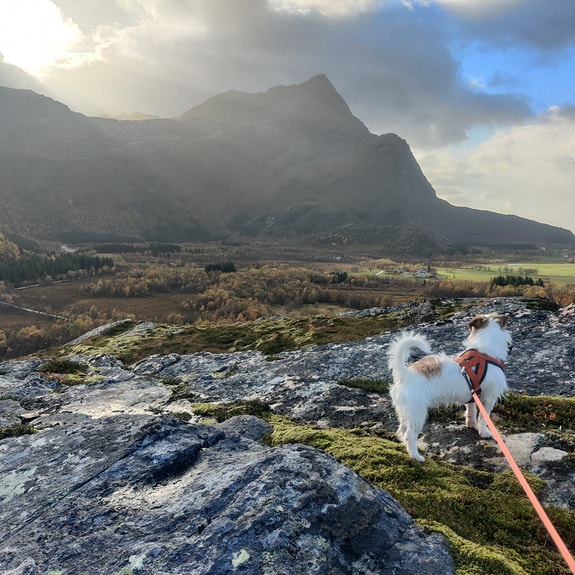 Product image 7 of 9