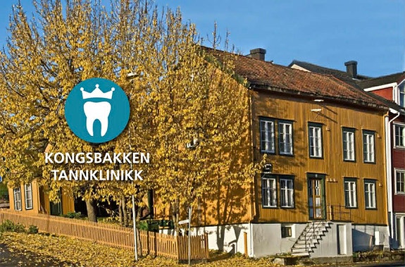 Bilde 1 av 1 i jobbannonse-galleriet