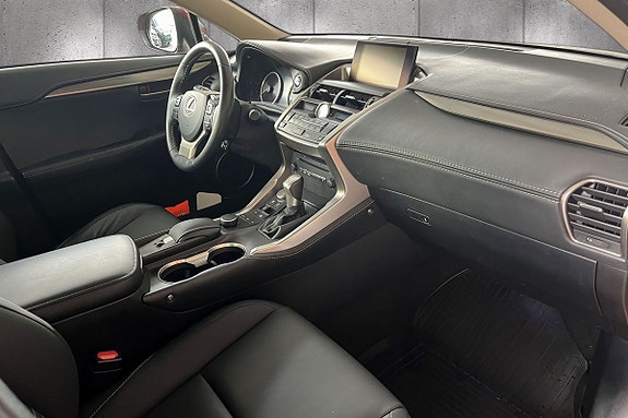 Lexus NX300h 13 of 18