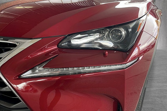 Lexus NX300h 17 of 18