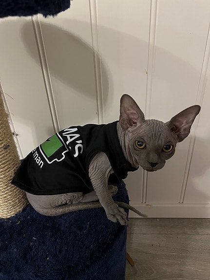 Product image 3 of 8