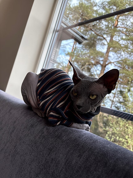 Product image 6 of 8