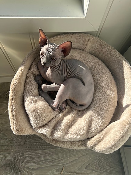 Product image 4 of 8