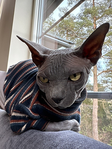 Product image 8 of 8