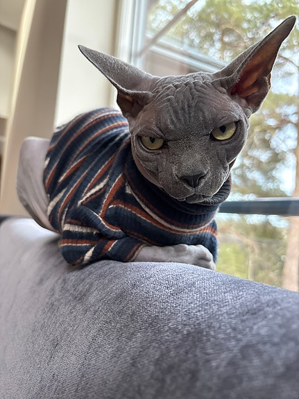 Product image 7 of 8