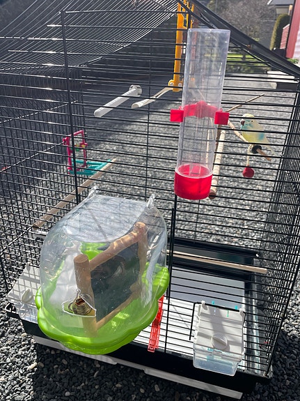 Product image 5 of 10