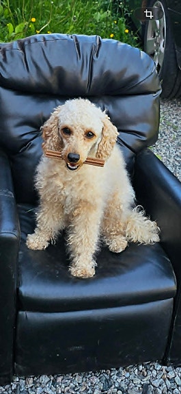 Product image 6 of 8