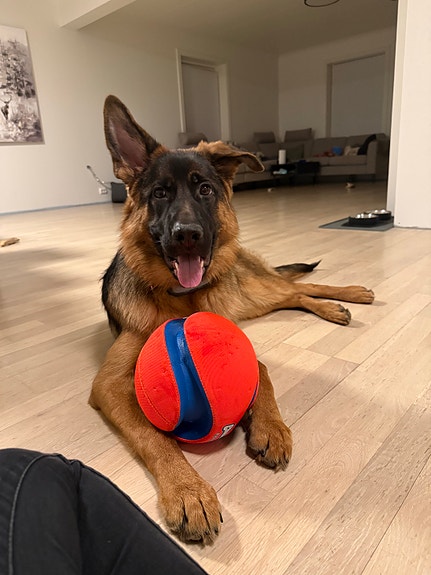 Product image 3 of 7