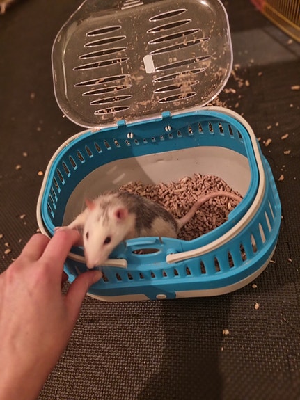 Product image 8 of 8