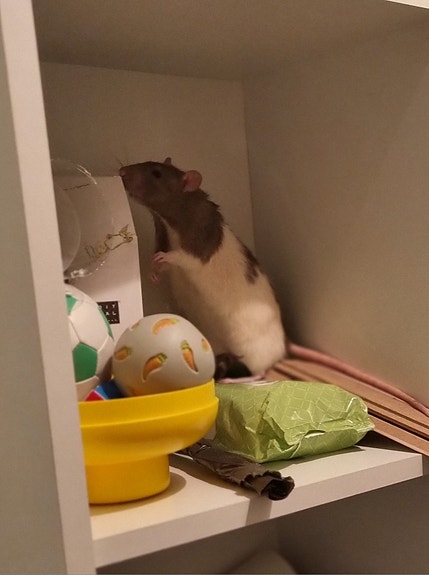 Product image 3 of 8