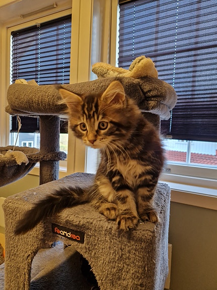 Product image 5 of 10