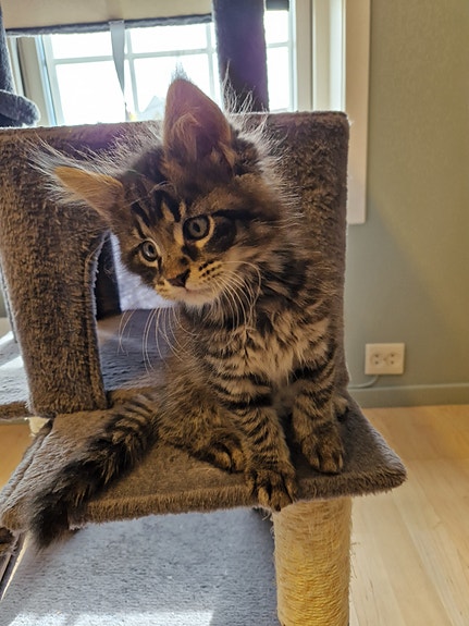 Product image 9 of 10