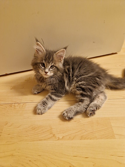 Product image 6 of 10