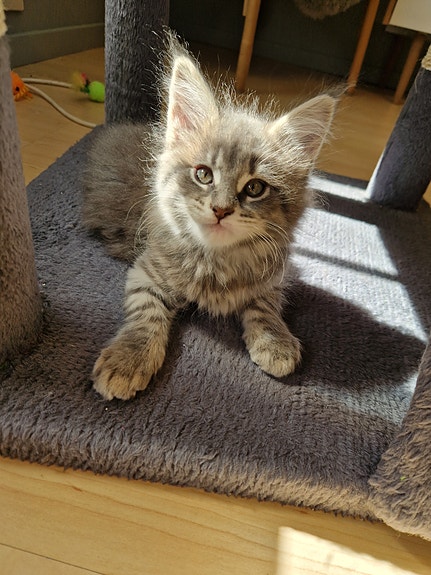 Product image 7 of 10