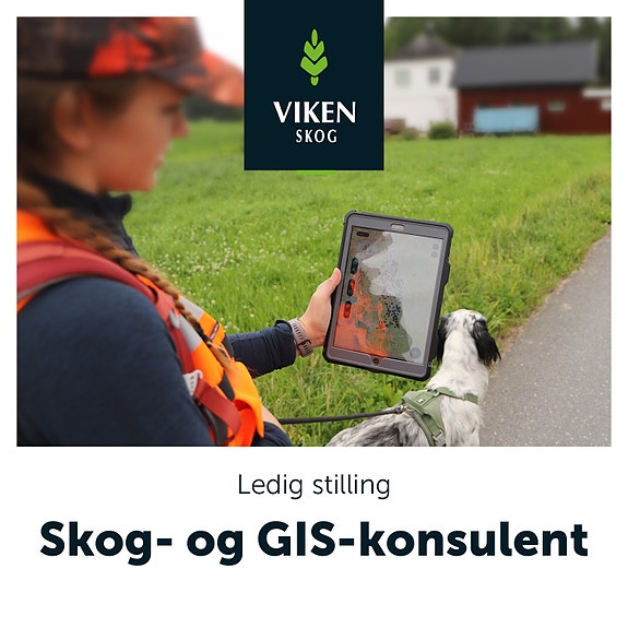 Bilde 3 av 10 i jobbannonse-galleriet