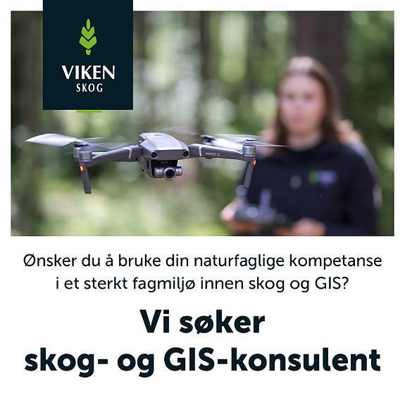 Bilde 5 av 10 i jobbannonse-galleriet