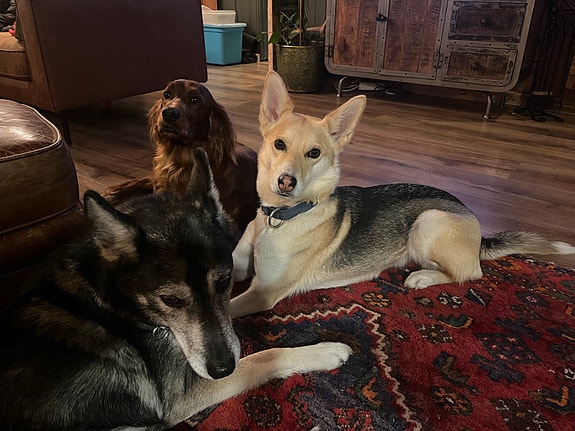 Product image 4 of 7