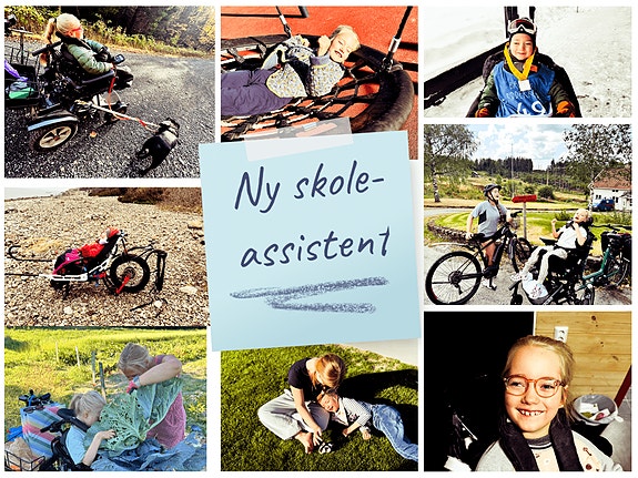 Bilde 1 av 1 i jobbannonse-galleriet