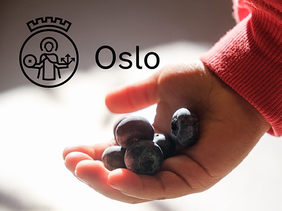 Oslo kommune logo