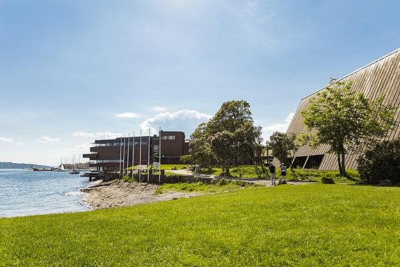 Bilde 1 av 1 i jobbannonse-galleriet