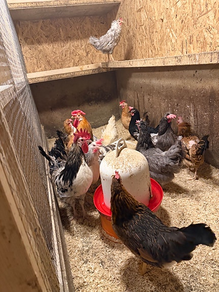 Product image 5 of 9