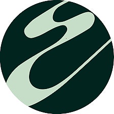 Elvesus AS logo
