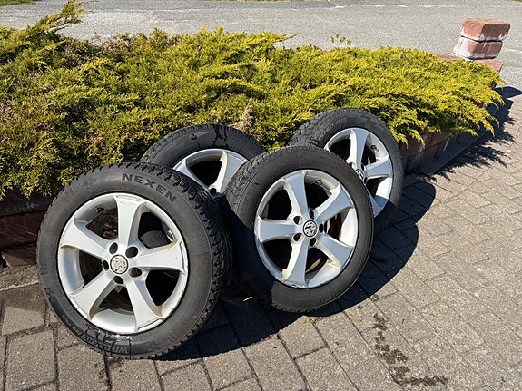 Volkswagen Polo 18 of 19