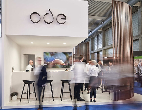 Bilde 1 av 1 i jobbannonse-galleriet