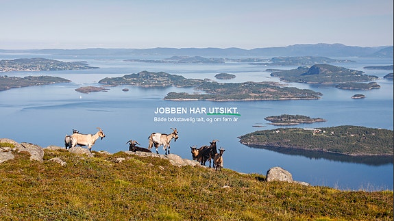 Bilde fra arbeidsgiver