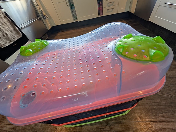 Product image 4 of 10