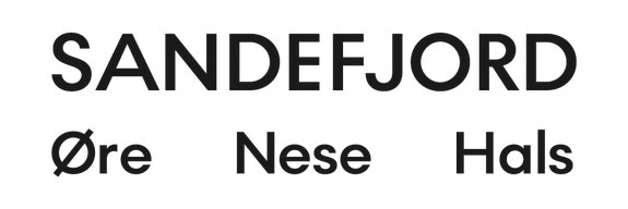 Sandefjord Øre-Nese-Hals AS logo