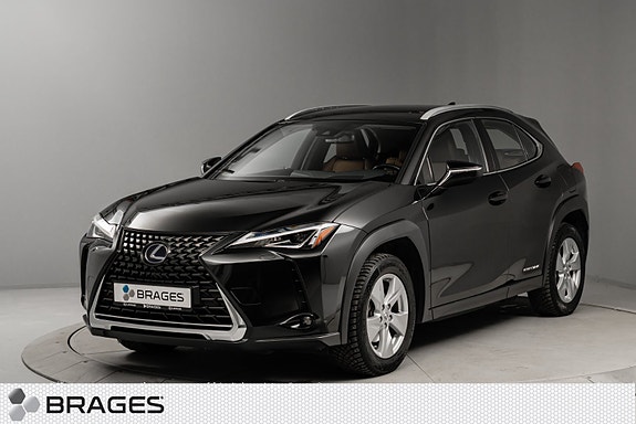 Lexus UX300e
