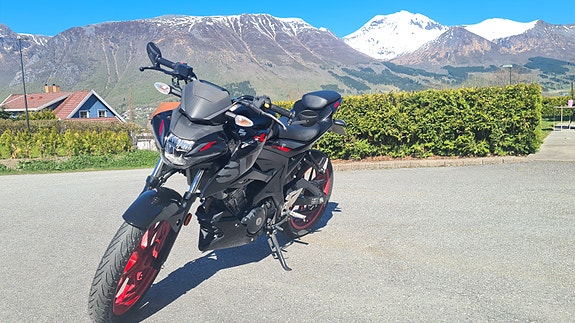 Suzuki GSX-S 125 4 of 10