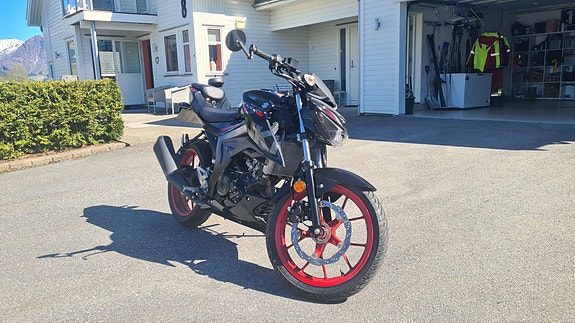 Suzuki GSX-S 125 5 of 10