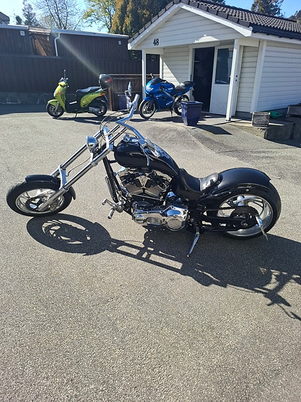 Harley-Davidson FXST Softail Standard / Custom 3 of 10
