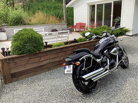 Suzuki VZ 800 Marauder 3 of 5