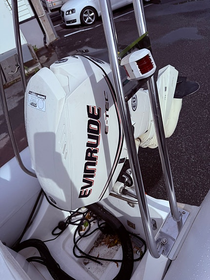 BRIG F450L med Evinrude 50hk/Respo 18 båt henger! 19 of 30